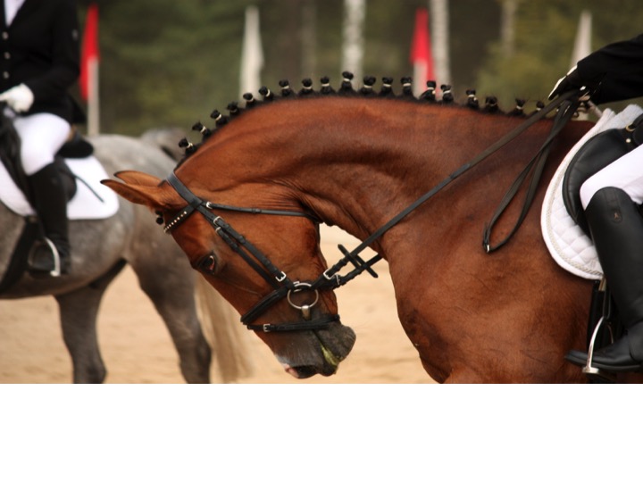 Curling behind the vertical