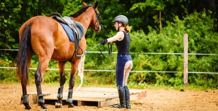 horsemanship, leadership, horse behavior,