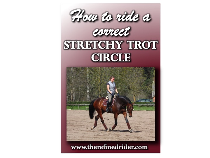 dressage stretchy trot